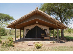 Ikoma Bush Camp